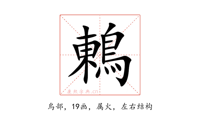 鶇