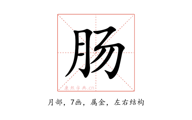 肠