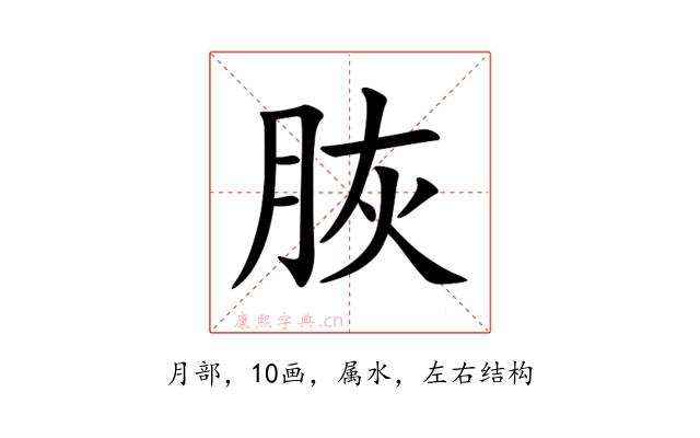 脄