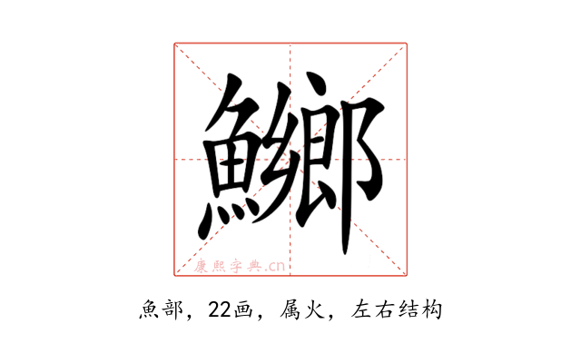 鱜