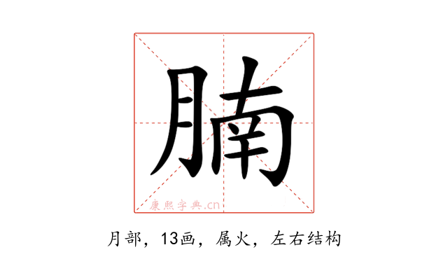 腩