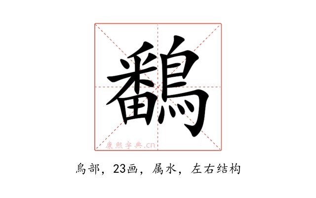 鷭