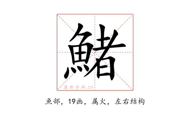 鯺