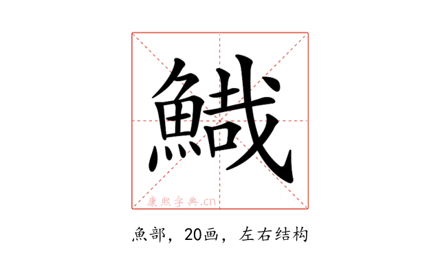 𩹯