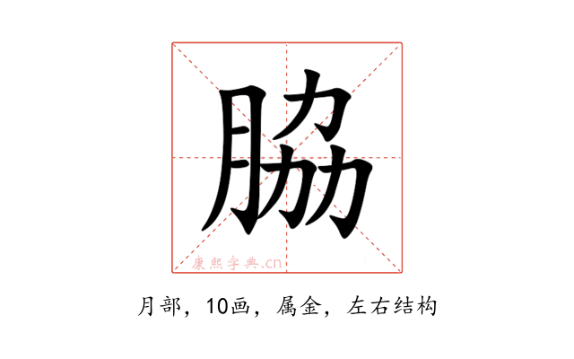 脇