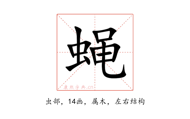 蝇