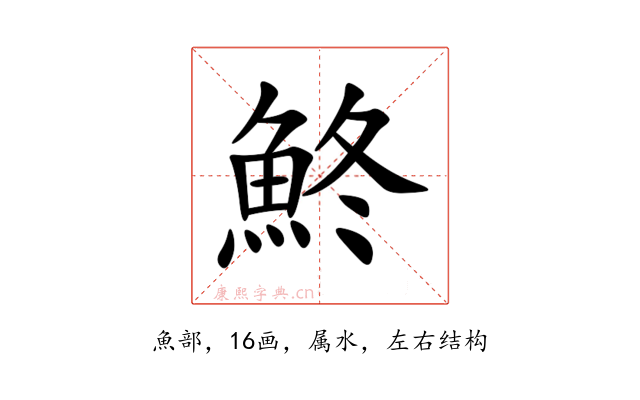 鮗