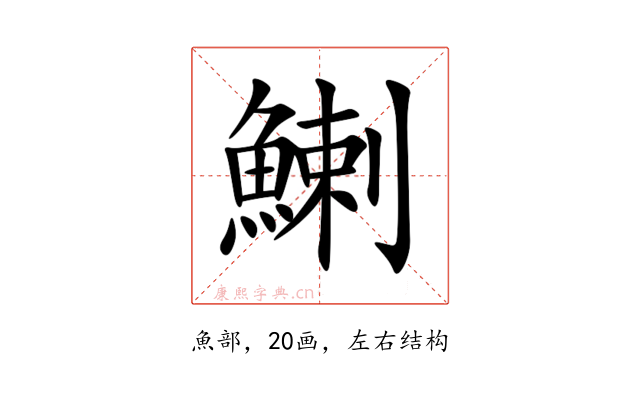 鯻