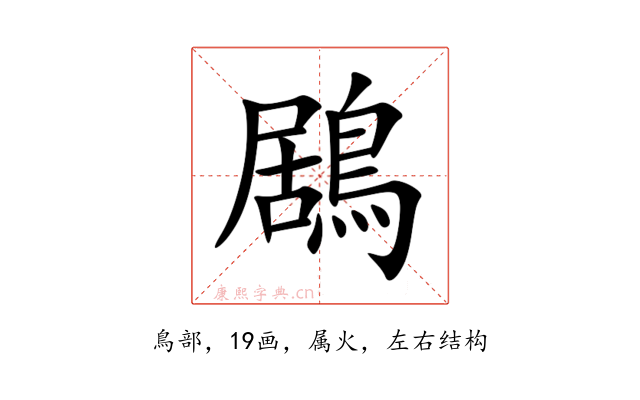 鶋