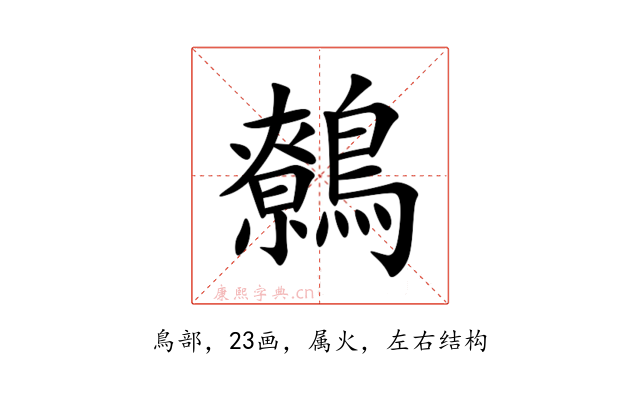 鷯
