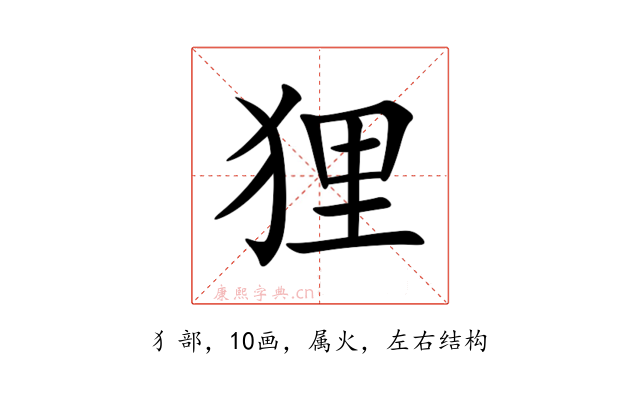 狸