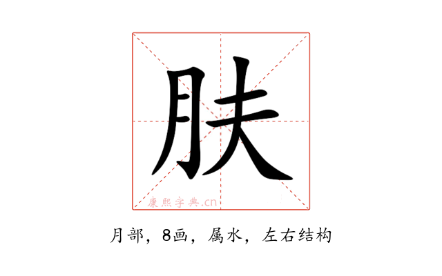 肤