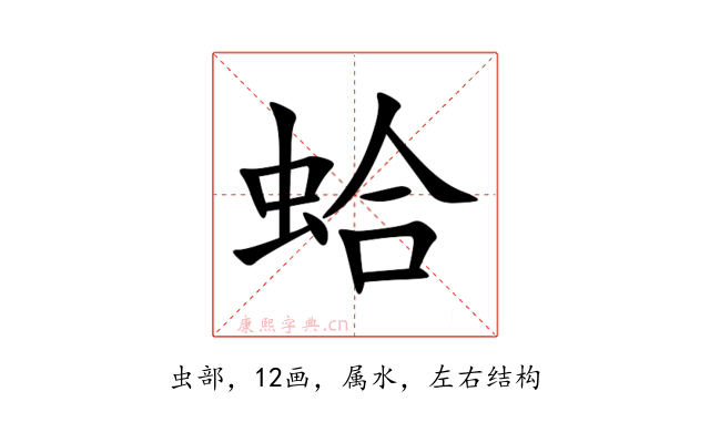蛤