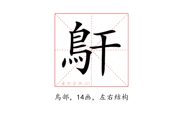 𩾝