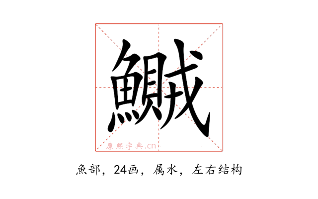 鱡