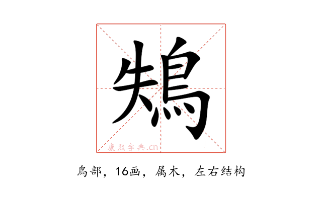 鴩