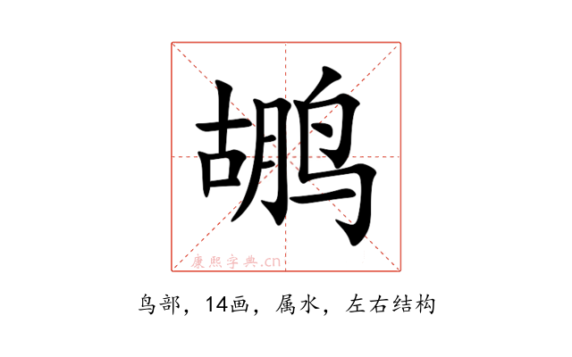 鹕
