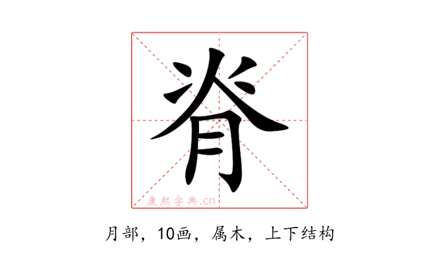 脊