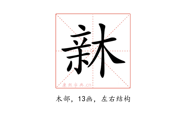 𣕟
