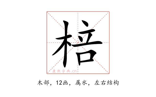 棓