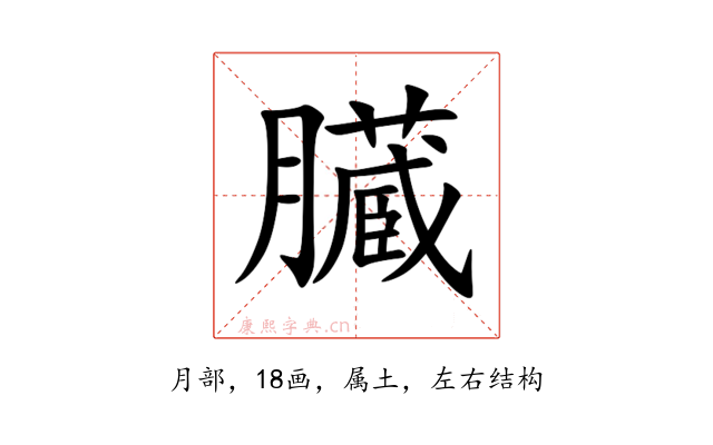 臓