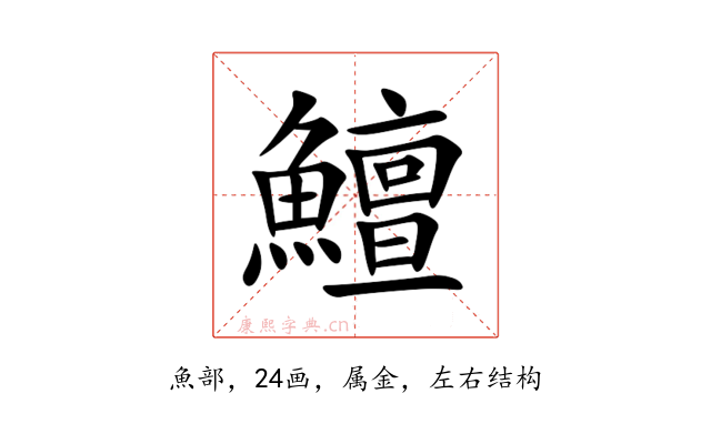 鱣