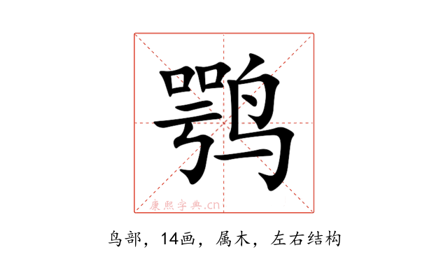 鹗