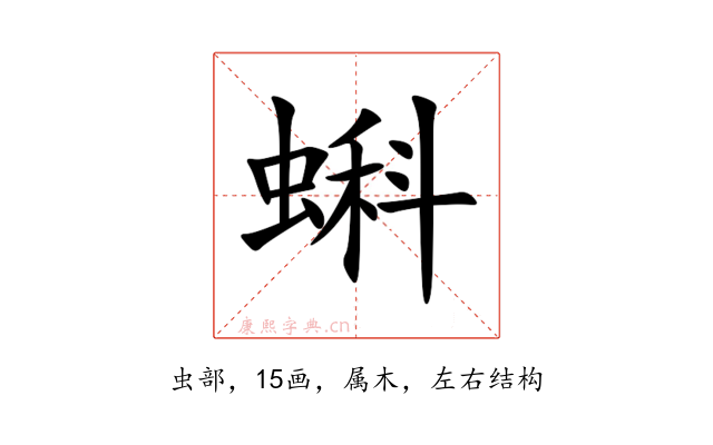 蝌