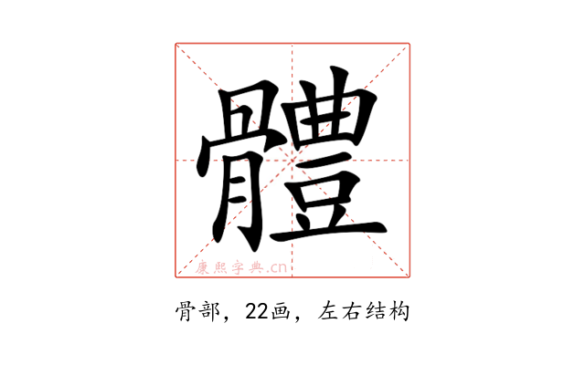體