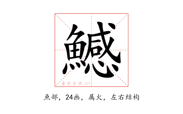 鱤