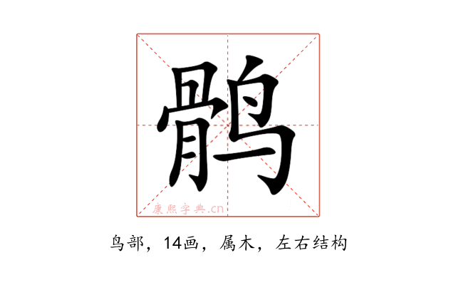 鹘
