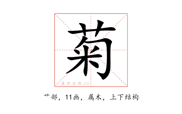 菊