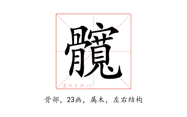 髖