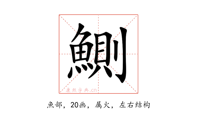 鰂