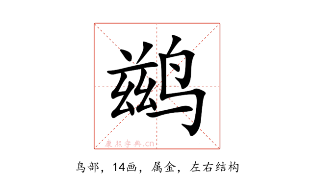 鹚