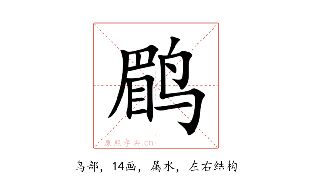 鹛