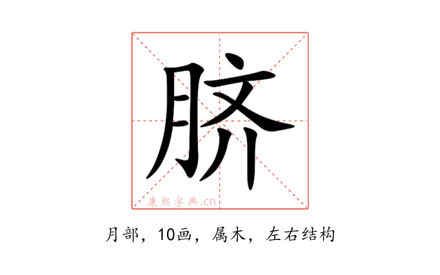 脐