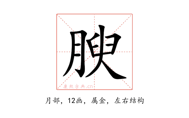 腴