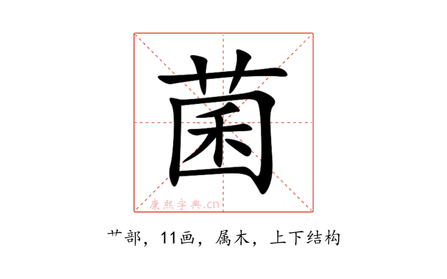 菌