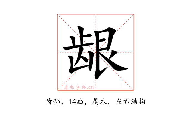 龈
