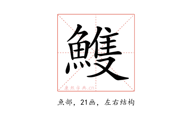 𩹹