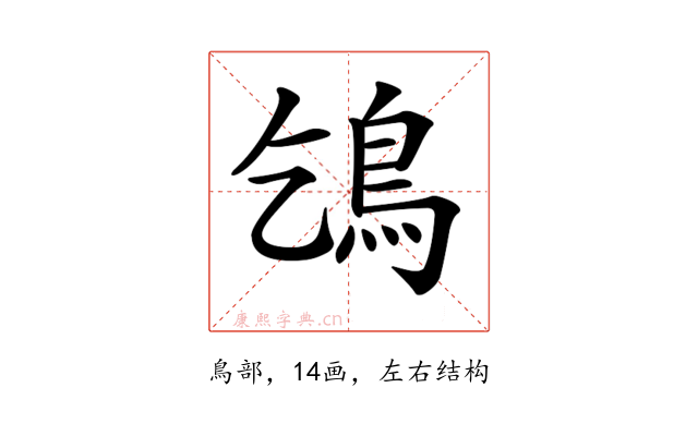 𩾥