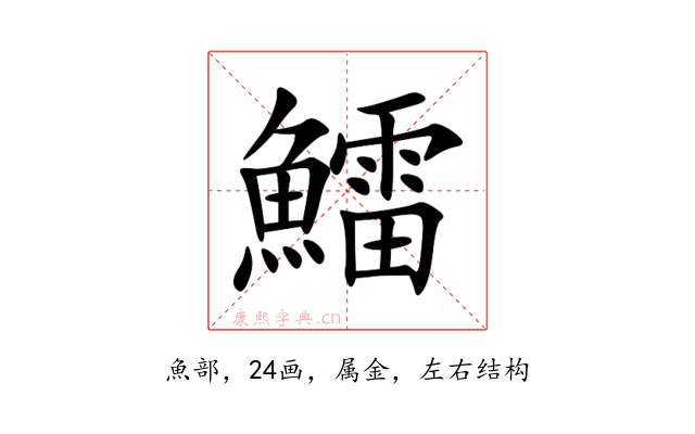 鱩