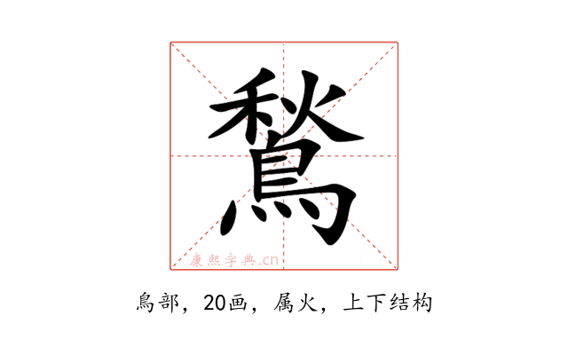 鶖