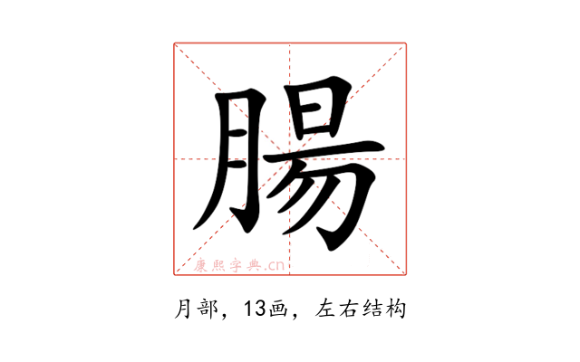 腸