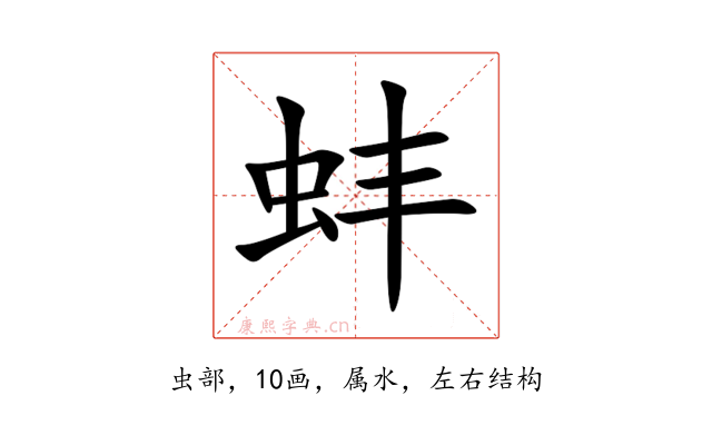 蚌