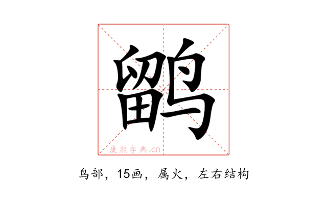鹠