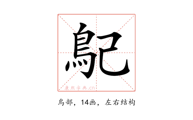 𩾩