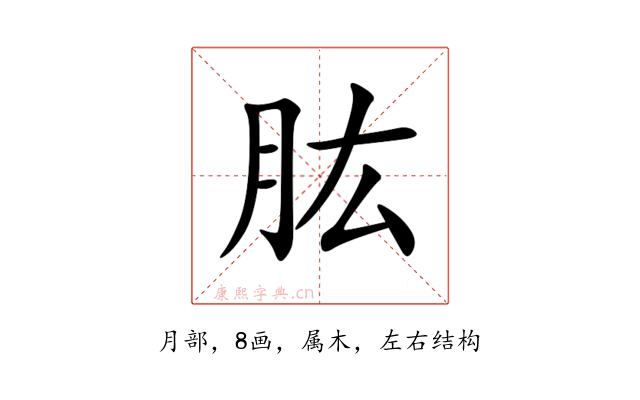 肱