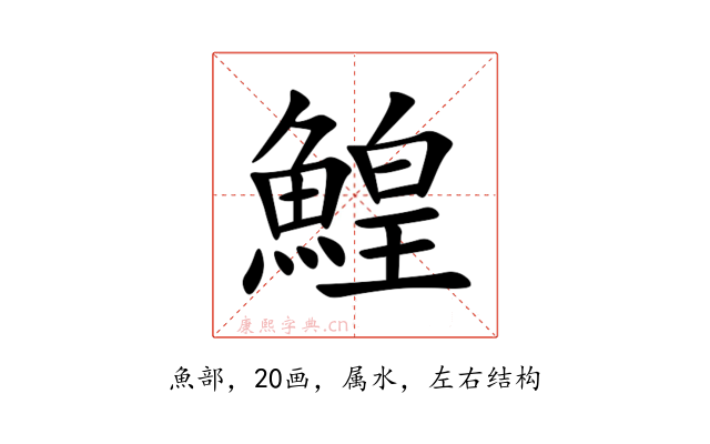 鰉